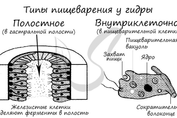 Услуги даркнета