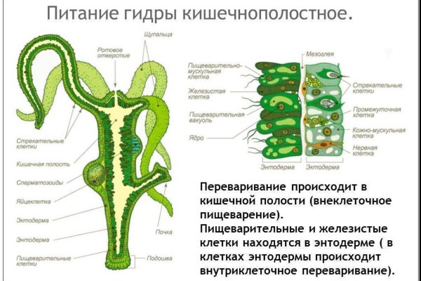 Оригинальный сайт кракен